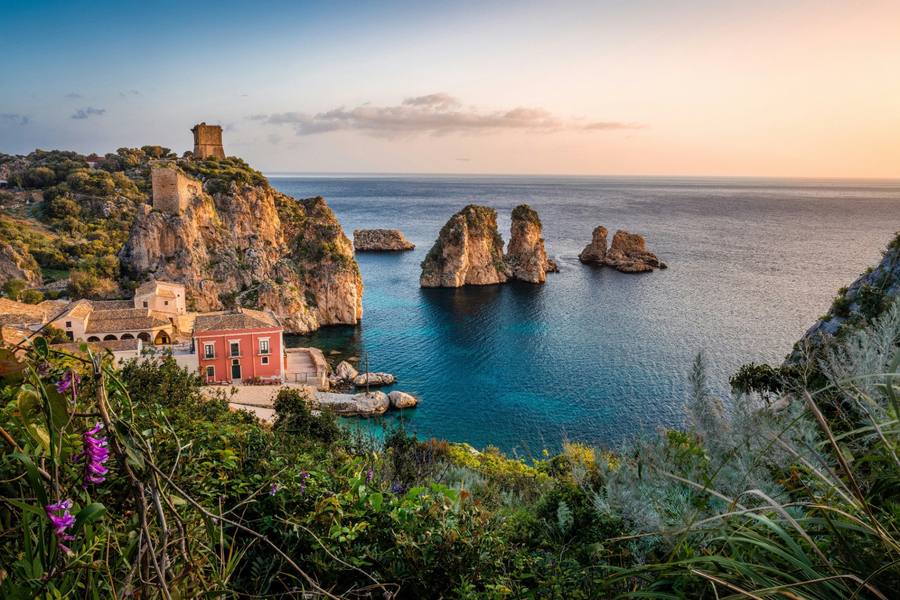Italy & The Vineyards